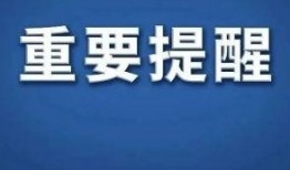 锦州热搜爆料新闻最新,惊现神秘事件，真相令人震惊！