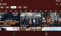 最新八卦圈爆料视频大全,揭秘明星幕后故事与精彩瞬间