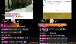 平湖最新爆料事件视频播放,视频揭秘事件真相，引发网友热议