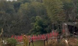 花溪新闻爆料网最新动态,聚焦热点事件，揭秘幕后真相