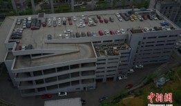 大白最新爆料停服了吗,热门游戏停服真相揭晓