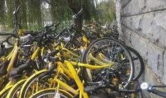 最新土坡自行车爆料事件,揭秘最新校园安全争议