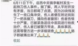 岳西最新爆料事件视频,视频揭露惊人真相，事件详情大揭秘！