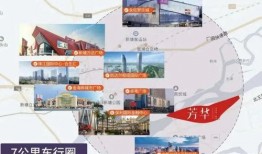 东莞枯树爆料事件视频最新,真相与争议交织的视觉冲击