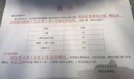 石家庄最新爆料通知,揭秘城市动态与民生焦点