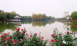 互动桌面最新爆料,颠覆性创新技术即将亮相