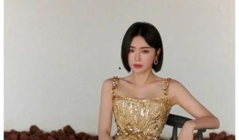 秦岚爆料最新消息,揭秘娱乐圈幕后真相